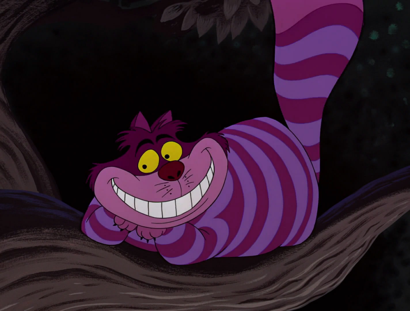 Cheshire